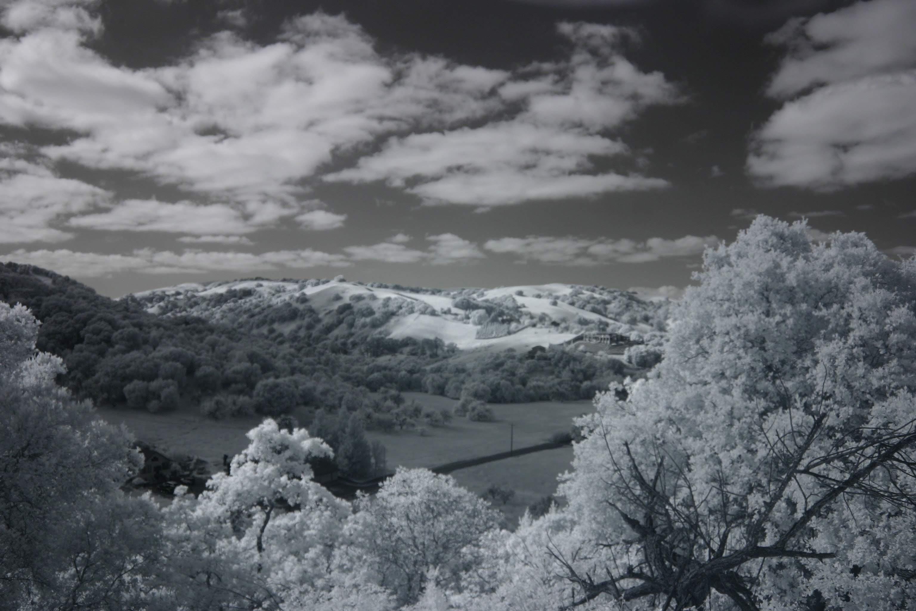 Bay Area Near Infra Red